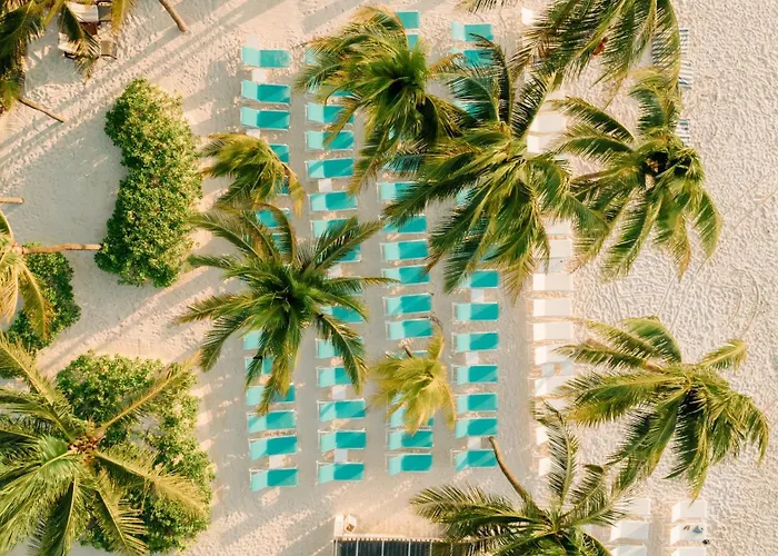 Catalonia Royal Tulum & Adults Only Resort 5*