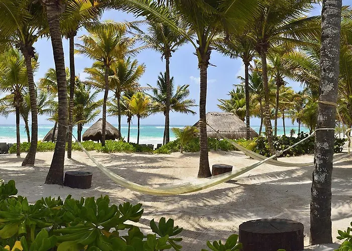 Catalonia Royal Tulum & Adults Only